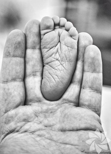 Ursula Le Guin sözleri