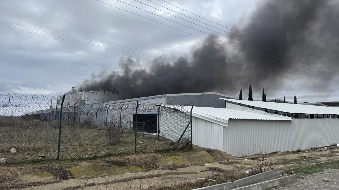 Edirne’de fabrika yangını