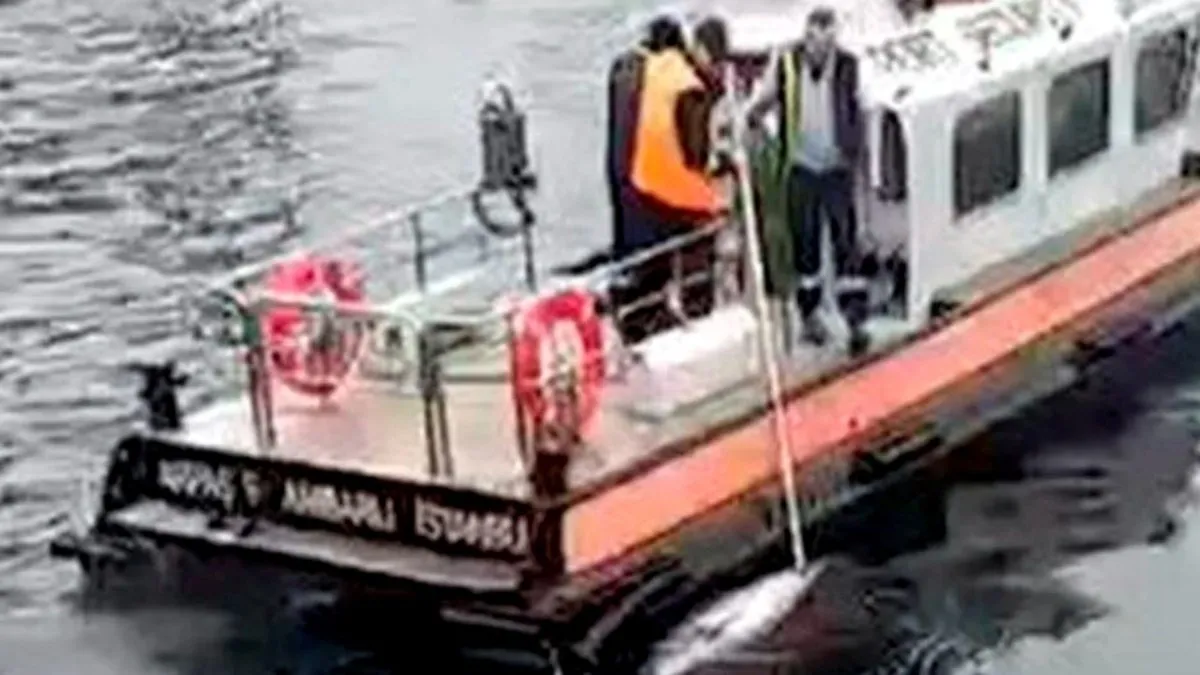 2 kez kayalıkların arasından yaralı kurtarılan yunus cansız halde bulundu